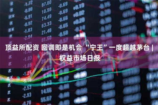 顶益所配资 回调即是机会 “宁王”一度超越茅台 | 权益市场日报