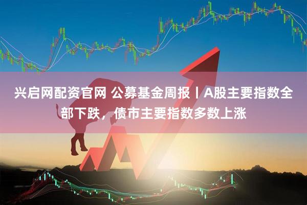 兴启网配资官网 公募基金周报丨A股主要指数全部下跌，债市主要指数多数上涨